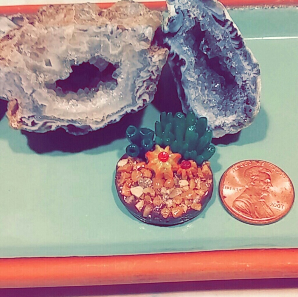 🌵Handmade miniature cactus garden🌵